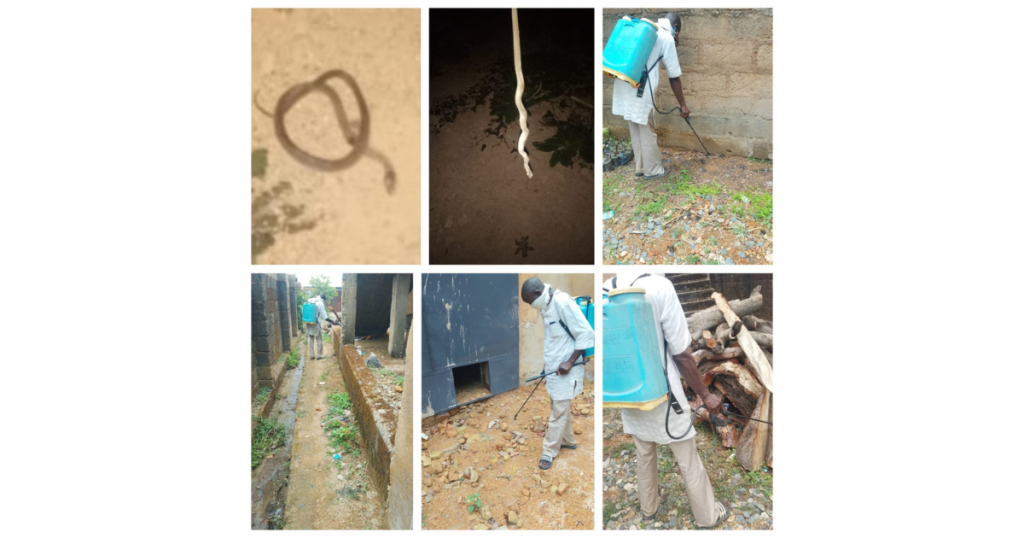 Collage of images showing snakes, one being sprayed with pesticide, and areas being sprayed.